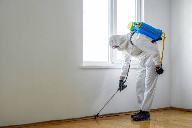 Indoor Pest Control in Severna Park, MD